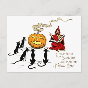 Postal Bruja enseñando gato negro Jack O' Lantern