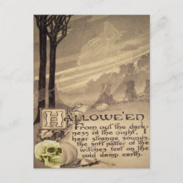 Postal Bruja voladora