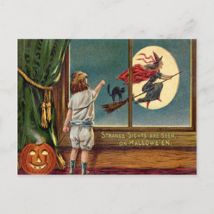Postal Bruja Voladora Gato Negro Luna Llena Calabaza