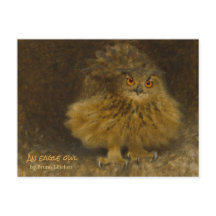 Bruno Liljefors Eagle owl CC0710 Vida silvestre