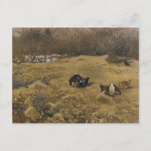 Postal Bruno Liljefors - Exhibición de grupo negro