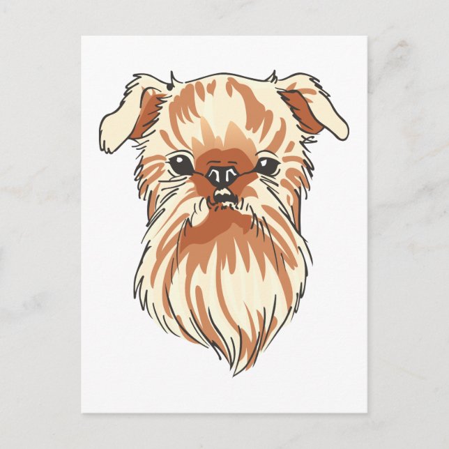 Postal Brussels Griffon (Anverso)