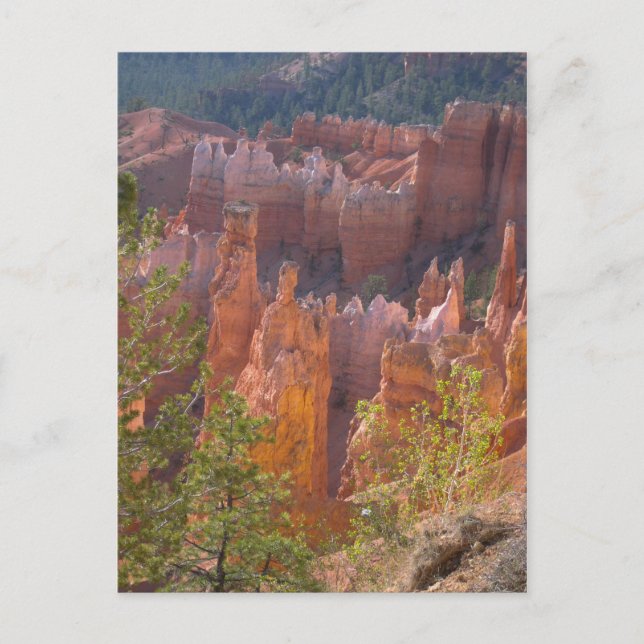 Postal Bryce (Anverso)