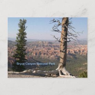 Postal Bryce Canyon