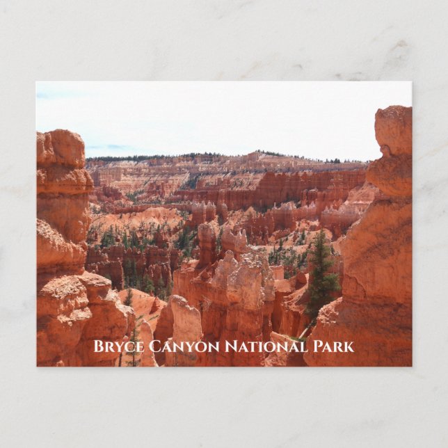 Postal Bryce Canyon Postcard (Anverso)