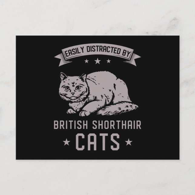 Postal BSH British Shorthair Cat (Anverso)