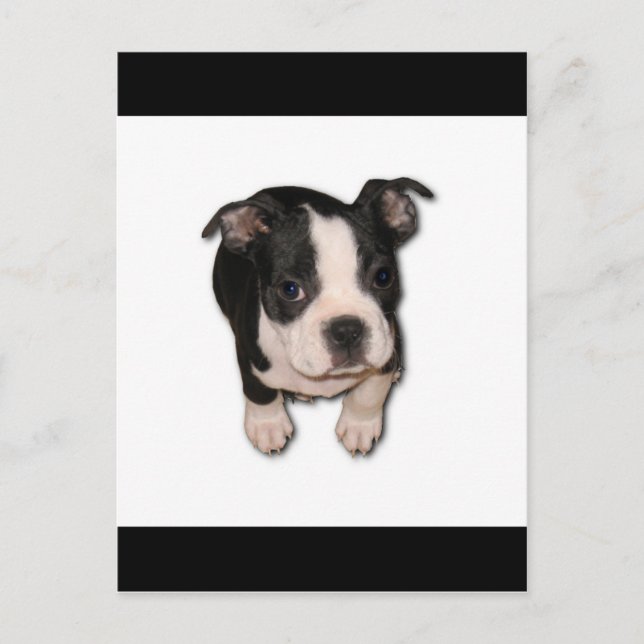 Postal BTpup (Anverso)