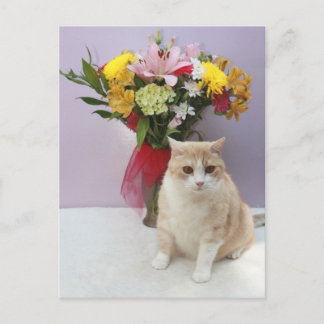 Postal Bubba de Flores