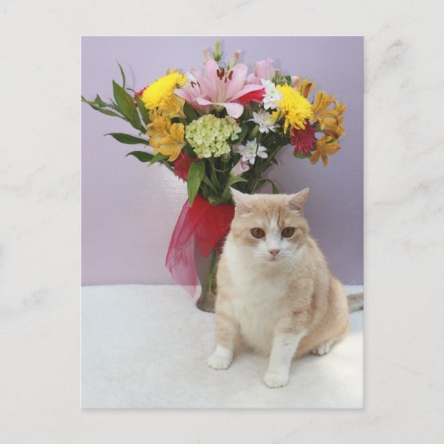 Postal Bubba de Flores (Anverso)