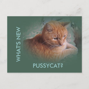 Postal Bubba el Naranja Tabby Tomcat