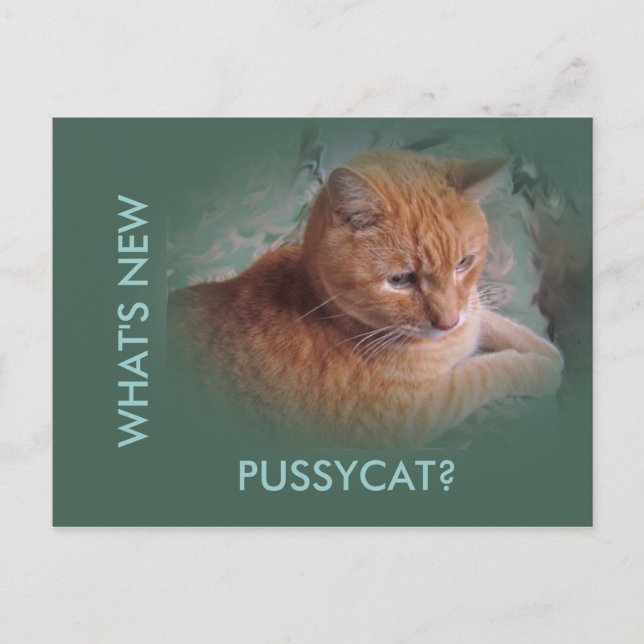 Postal Bubba el Naranja Tabby Tomcat (Anverso)