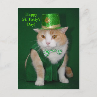 Postal Bubba Kitty