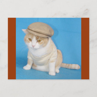 Postal Bubba Kitty