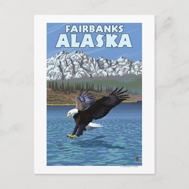 Postal Buceo con águila calva - Fairbanks, Alaska (Anverso)