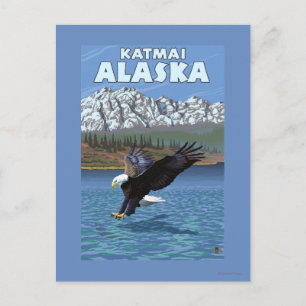 Postal Buceo con águila calva - Katmai, Alaska