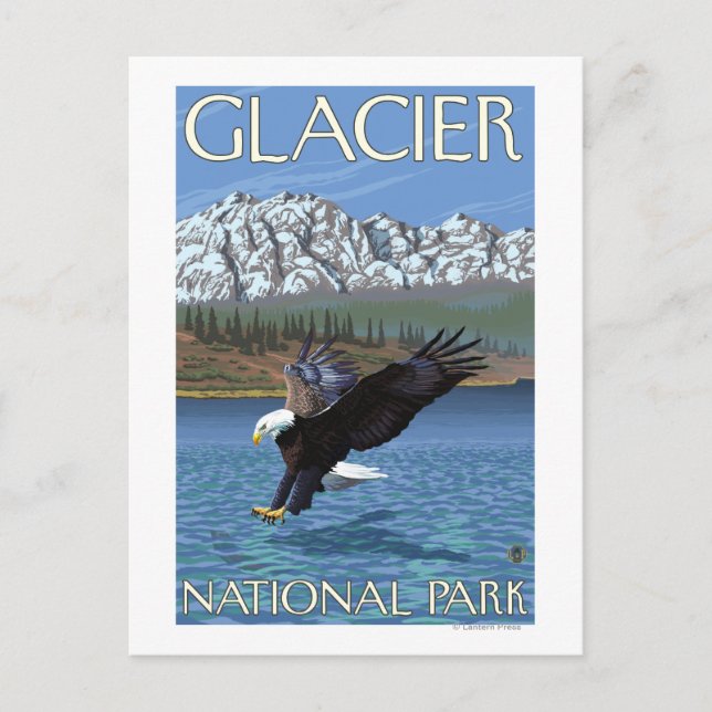 Postal Buceo con águila calva - Parque Nacional Glaciar,  (Anverso)