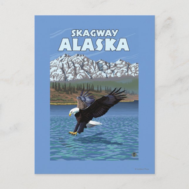 Postal Buceo con águila calva - Skagway, Alaska (Anverso)