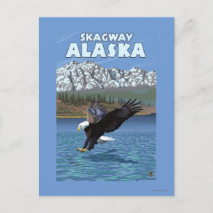 Postal Buceo con águila calva - Skagway, Alaska