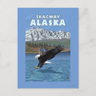 Postal Buceo con águila calva - Skagway, Alaska