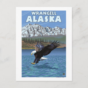 Postal Buceo con águila calva - Wrangell, Alaska