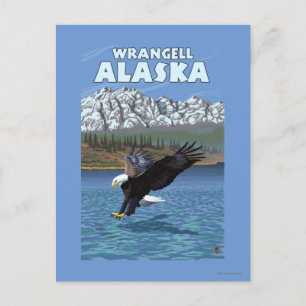 Postal Buceo con águila calva - Wrangell, Alaska