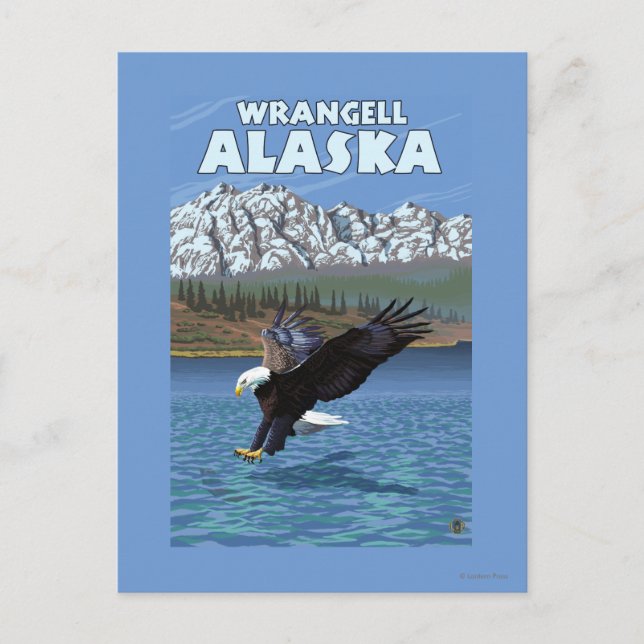 Postal Buceo con águila calva - Wrangell, Alaska (Anverso)