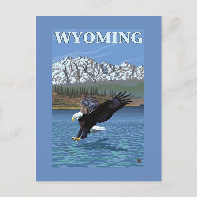 Postal Buceo con águila calva - Wyoming (Anverso)