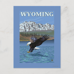 Postal Buceo con águila calva - Wyoming