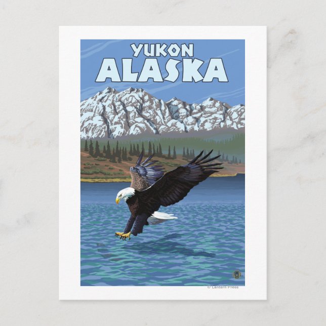 Postal Buceo con águila calva - Yukón, Alaska (Anverso)