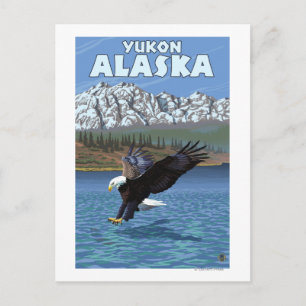 Postal Buceo con águila calva - Yukón, Alaska