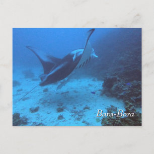 Postal Buceo con manta Ray en Bora