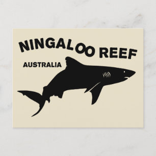 Postal Buceo De Tiburón En Australia, Arrecife Ningaloo
