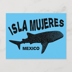 Postal Buceo de Whale Shark Scuba   Isla Mujeres