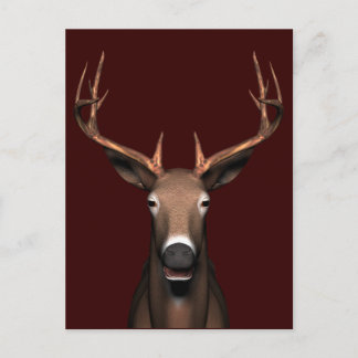 Postal Buck Head