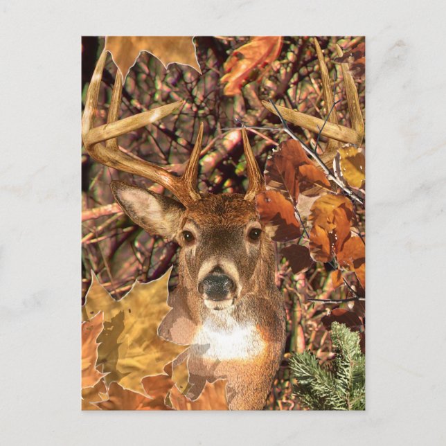 Postal Buck in Camo White Tail Deer (Anverso)