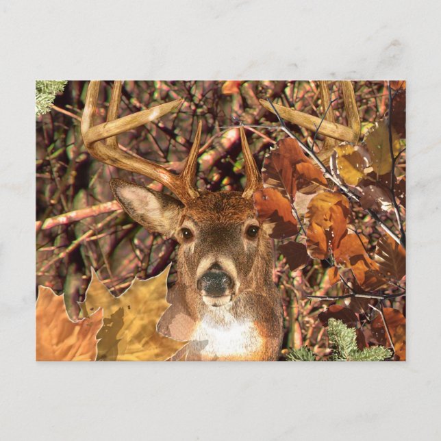 Postal Buck in Hunter Camo White Tail Deer (Anverso)
