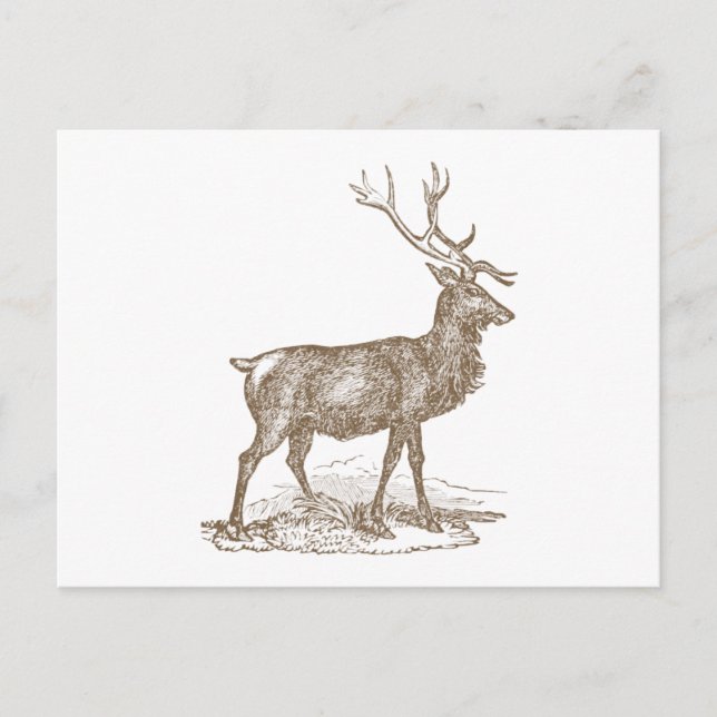 Postal Buck Mule Deer Letterpress Style (Anverso)