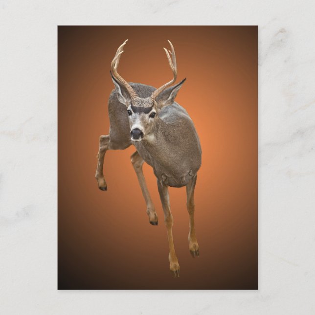 POSTAL BUCK PARAS AQUÍ (Anverso)