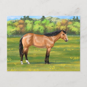 Postal Buckskin Dun Quarter Horse