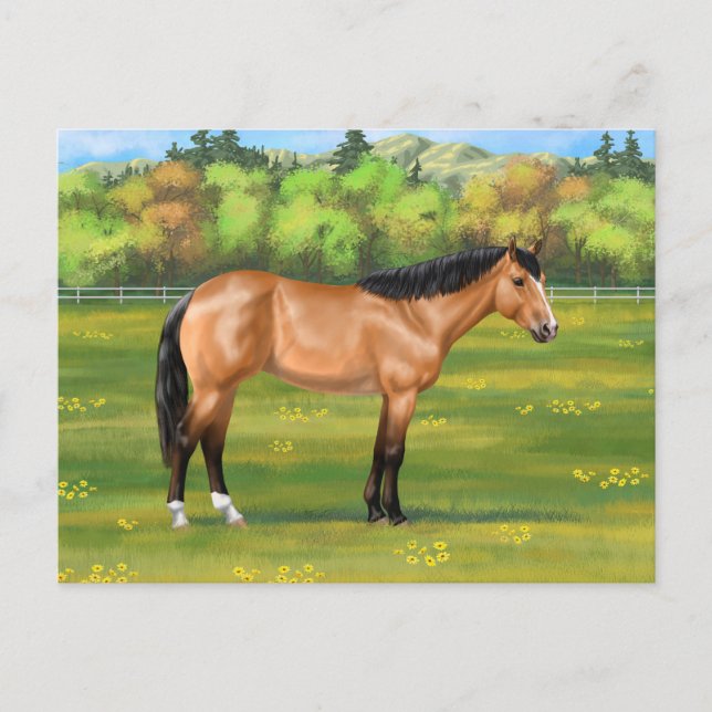 Postal Buckskin Dun Quarter Horse (Anverso)