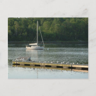 Postal Bucksport Maine