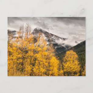 Postal Bucle alpino   Silverton, Colorado