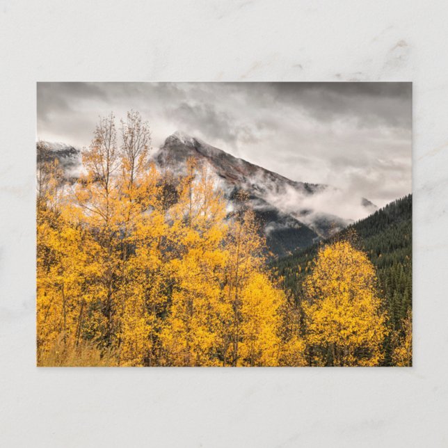 Postal Bucle alpino | Silverton, Colorado (Anverso)