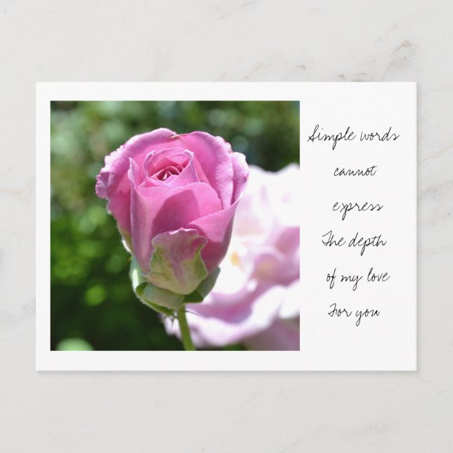 Postal Bud Rosa romántico (Anverso)