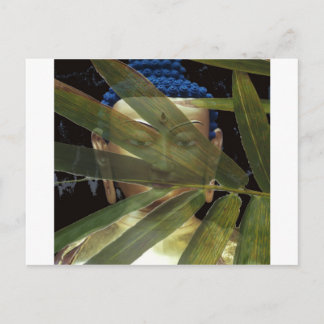 Postal Buda de Bambú