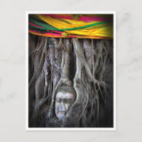 Buda y el Árbol Budismo Tailandia Fotografía