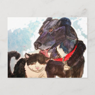 Postal Buddies
