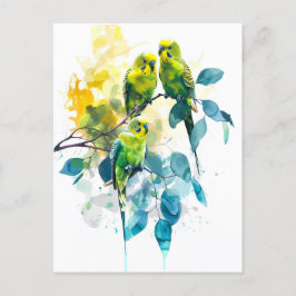 Postal Budgerigars acuarelas en el árbol de eucalipto