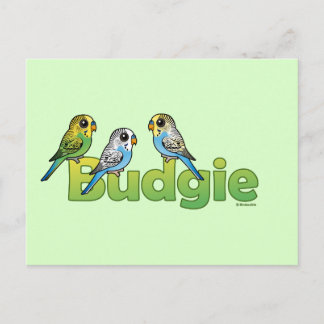 POSTAL BUDGIE
