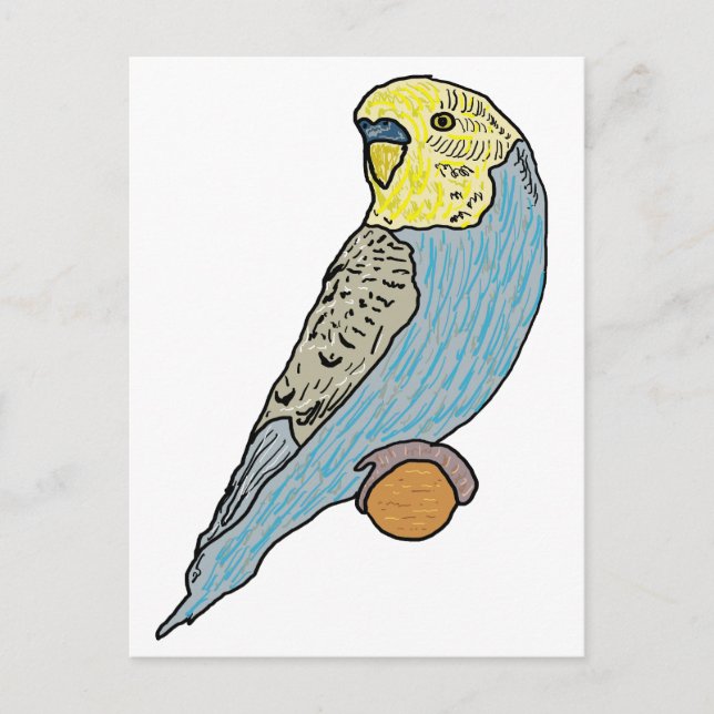 Postal Budgie (Anverso)